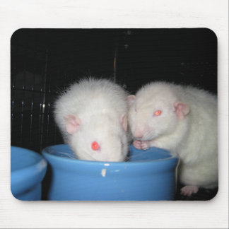 Not a Mouse Pad... Mouse Mat