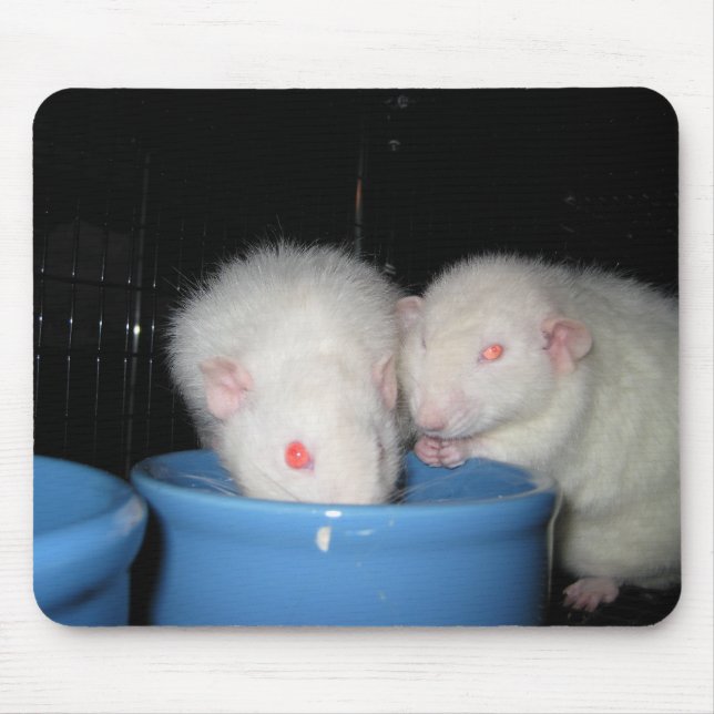 Not a Mouse Pad... Mouse Mat (Front)