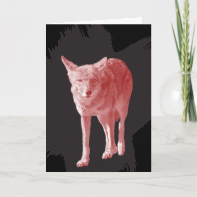 Not A Wolf. Lone Coyote Holiday Card (Front)