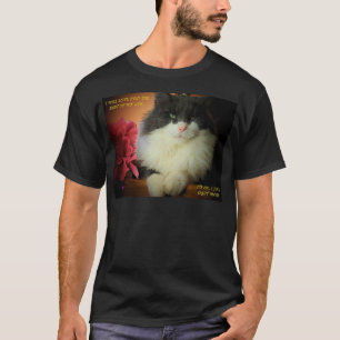 Not Afraid To Commit Cat Meme T-Shirt