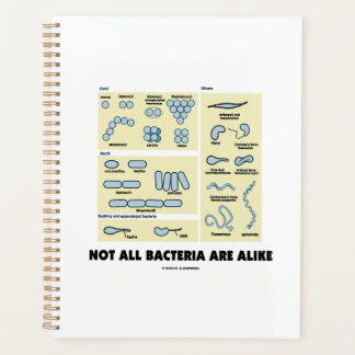 Not All Bacteria Are Alike Bacterial Morphology Planner