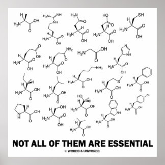 Not All Of Them Are Essential (20 Amino Acids) Poster