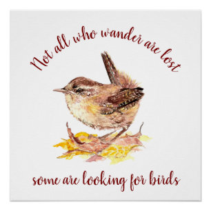 Not all Who Wander Lost - Some looking for Birds Poster