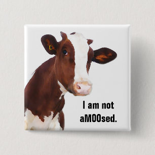 Not Amused - Funny aMOOsed Cow Joke 15 Cm Square Badge