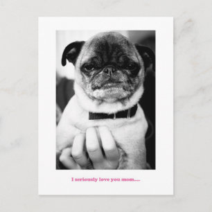 Not an excited moment postcard