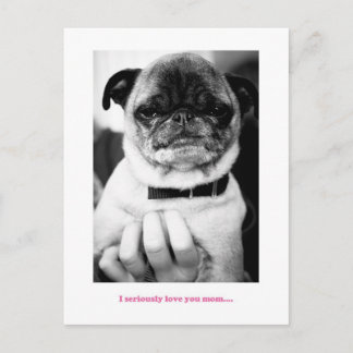 Not an excited moment postcard