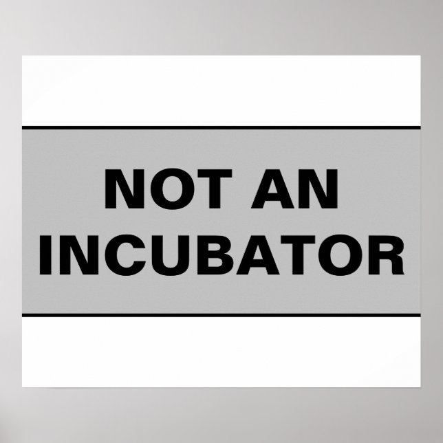 Not an incubator women are people poster (Front)