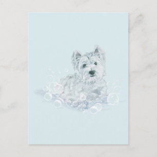 Not Another Bath Postcard