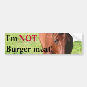 NOT Burger Meat Bumper Sticker
