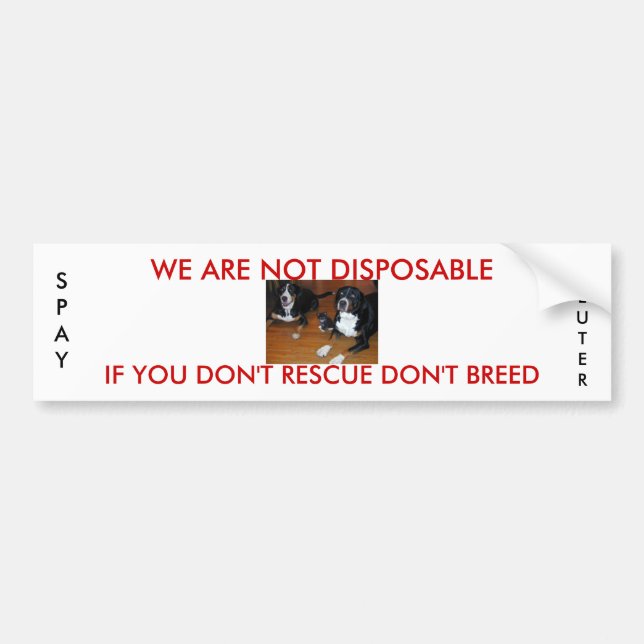 not disposable pet rescue bumper sticker (Front)