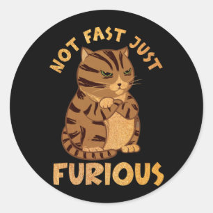 Not Fast Just Furious Funny Fat Cat Pet Lovers Classic Round Sticker