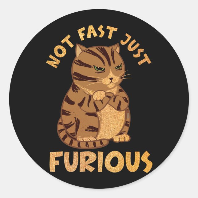 Not Fast Just Furious Funny Fat Cat Pet Lovers Classic Round Sticker (Front)