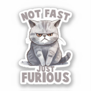 Not Fast, Just Furious – Grey Cat Humour