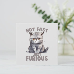 Not Fast, Just Furious – Grey Cat Humour