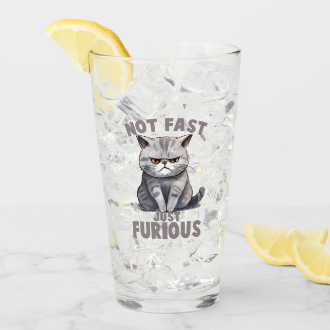 Not Fast, Just Furious – Grey Cat Humour Glass (Front Ice)