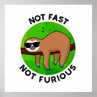Not Fast Not Furious Funny Movie Sloth Pun 