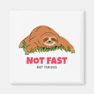 Not Fast Not Furious Magnet