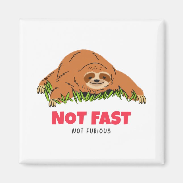 Not Fast Not Furious Magnet (Front)