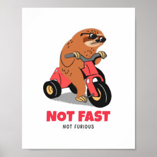 Not Fast Not Furious  Poster