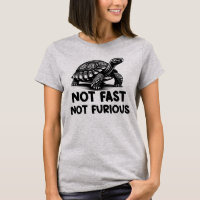 Not Fast Not Furious Tortoise