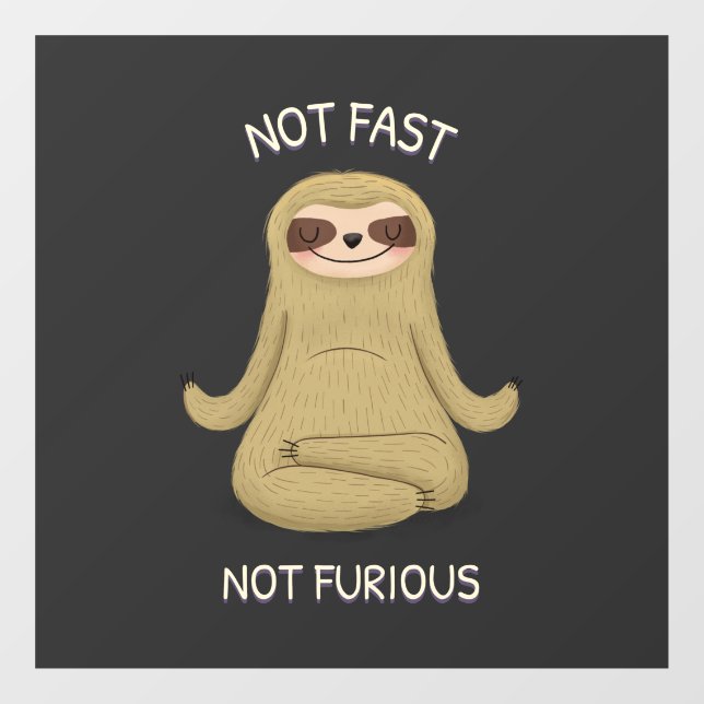 Not Fast Not Furious Window Cling (Sheet)