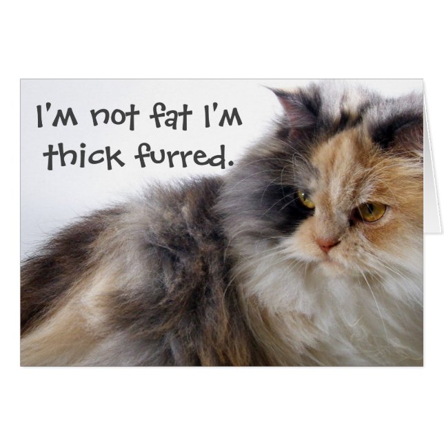 Not Fat! Thick Furred (Front Horizontal)