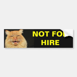 Not For Hire (Pumpkin) Bumper Sticker