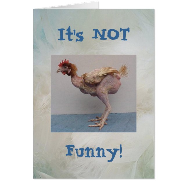 Not Funny Chicken Card (Front)