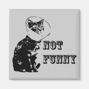Not Funny Magnet