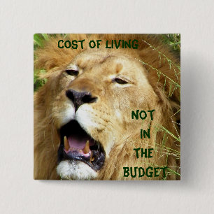 Not in the Budget_ Button