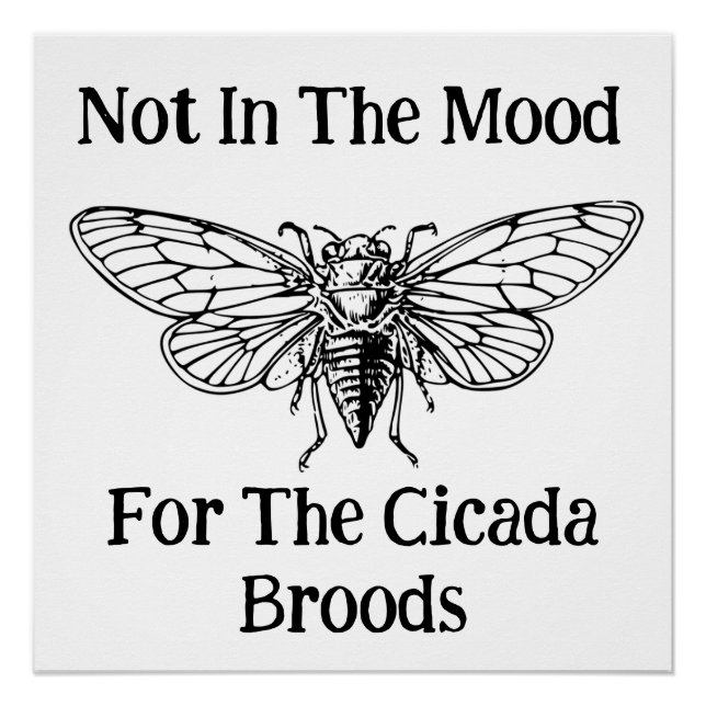 Not In The Mood For The Cicada Broods Poster (Front)