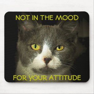 Not in the Mood For Your Attitude Meme Mouse Mat