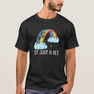 Not just a Pet Rainbow Bridge Cat Lover T-Shirt