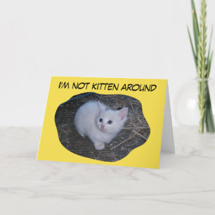 Not Kitten Around Card