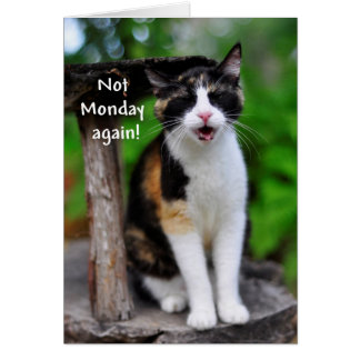 "Not Monday Again!" Humourous Calico Cat Card