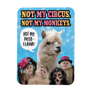 Not My Circus, Not My Monkeys, Not My ProbLlama Magnet