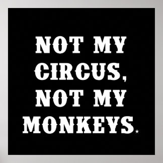 Not My Circus, Not My Monkeys Poster