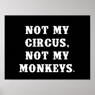 Not My Circus, Not My Monkeys Poster