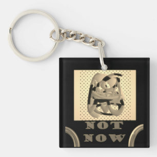 Not Now another time maybe black with silver color Key Ring
