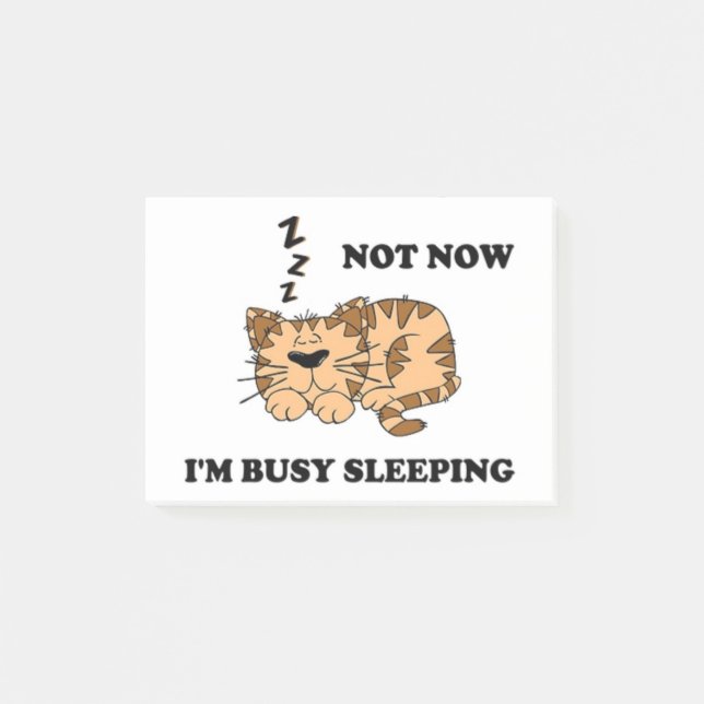 NOT NOW, I'M BUSY SLEEPING POST-IT NOTES (Front)