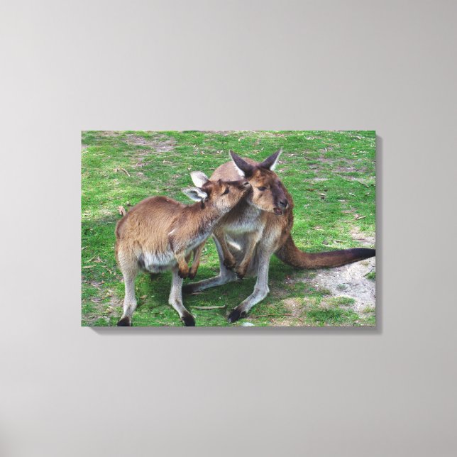 Not Now Skippy Canvas Print (Front)