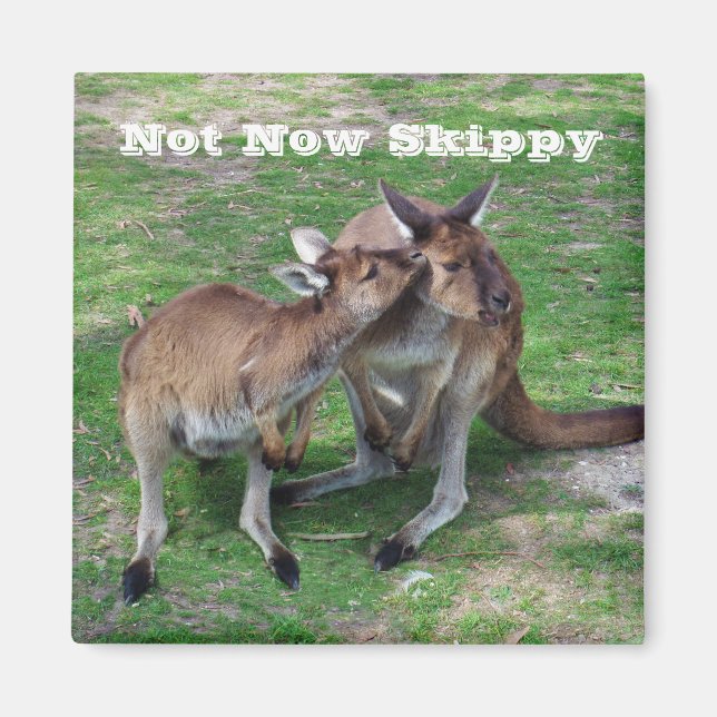 Not Now Skippy Magnet (Front)