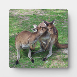 Not Now Skippy Plaque