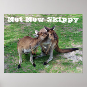 Not Now Skippy Poster