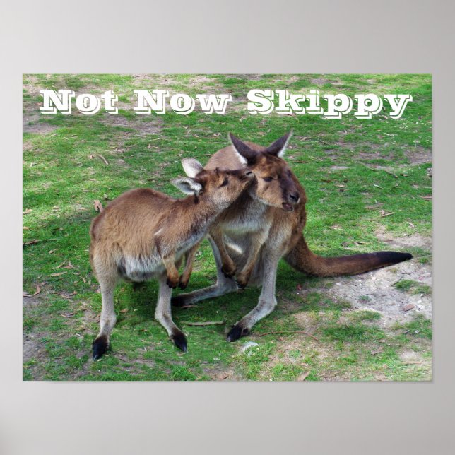 Not Now Skippy Poster (Front)