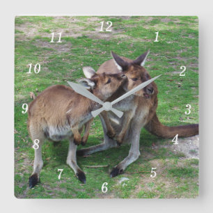 Not Now Skippy Square Wall Clock