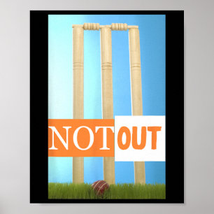 Not Out Cricket Jersey Cricket India Colors Poster