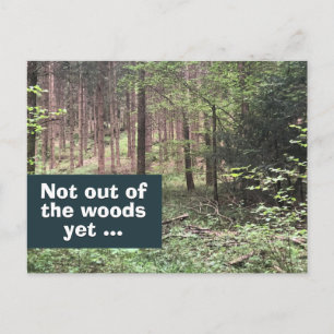 Not Out of the Woods Yet Quarantine in Nature Postcard