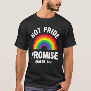 Not Pride Promise Lgbt Christian Men Women Pride M T-Shirt