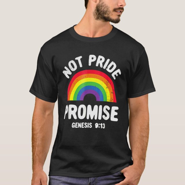 Not Pride Promise Lgbt Christian Men Women Pride M T-Shirt (Front)